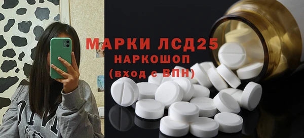 стафф Алзамай