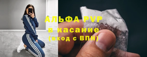 стафф Алзамай